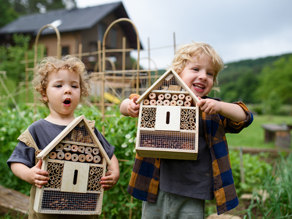 Decorate a Bug Hotel at Cadbury Treehouse