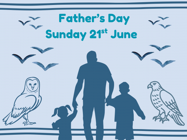 Father's Day Birds of Prey - 21st June