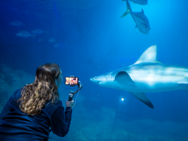 Ocean Change Makers Virtual Session