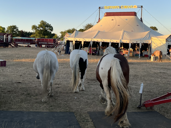 2027 Giffords Circus Tickets - Minchinhampton Common, Gloucestershire 12th - 23rd August