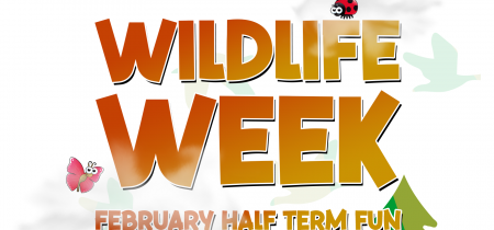 Wildlife Week