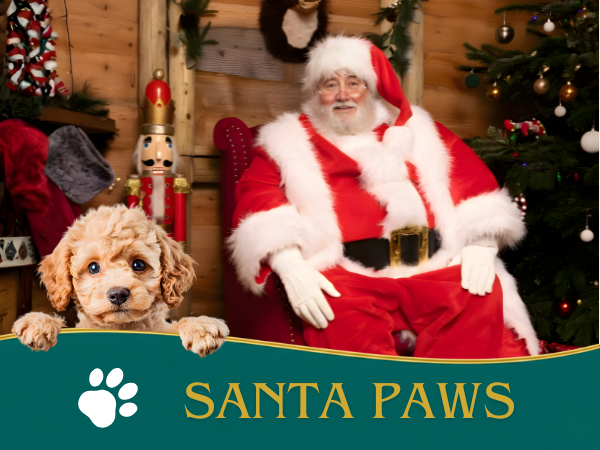 Santa Paws