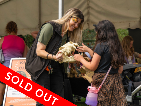 Big Cat Fest -  Friday 31st July