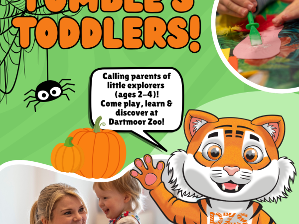 Tumble's Toddlers