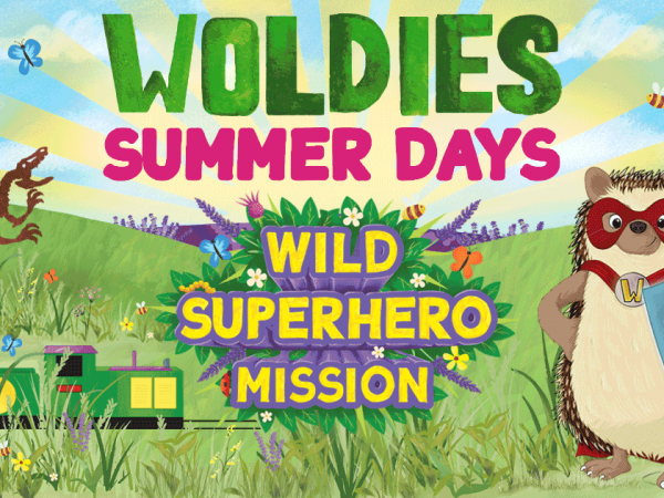 Summer Days & Wild Superheroes