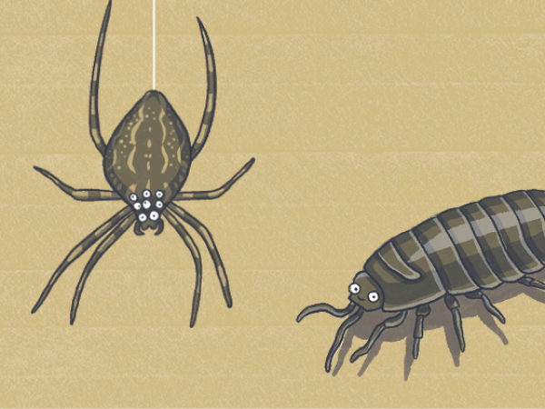 Heligan Rangers: Drawing Comic Creatures