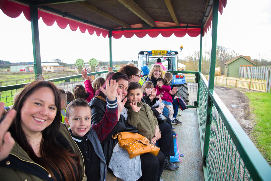 Buy School Save Tickets online Piglets Adventure Farm