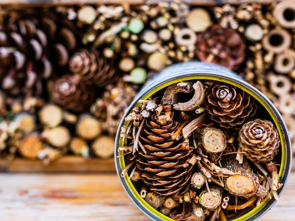 Bug Hotel