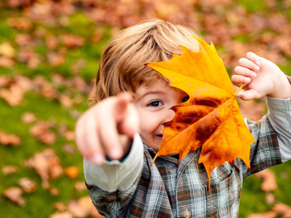 23rd Oct - Amazing Autumn