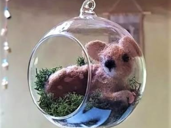 Needle Felt Workshop