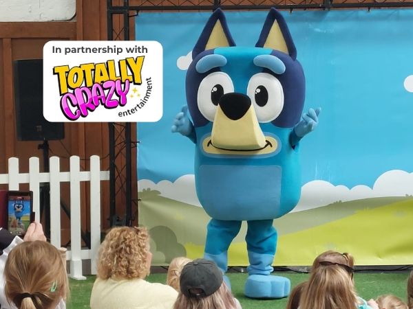 Tuesday 17th February - Bluey Day!