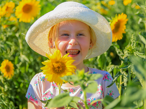 Summer Flowers