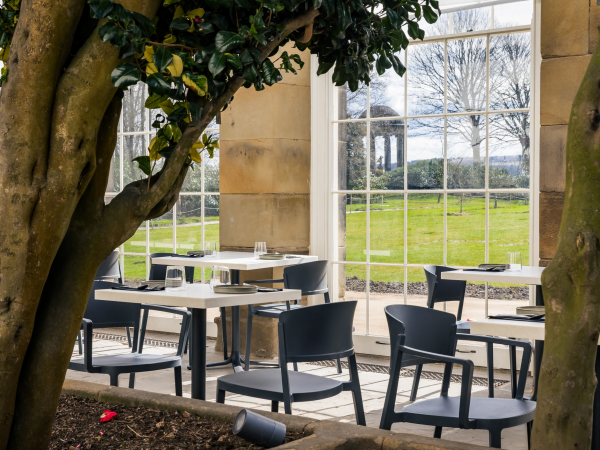 Father's Day at the Camellia House