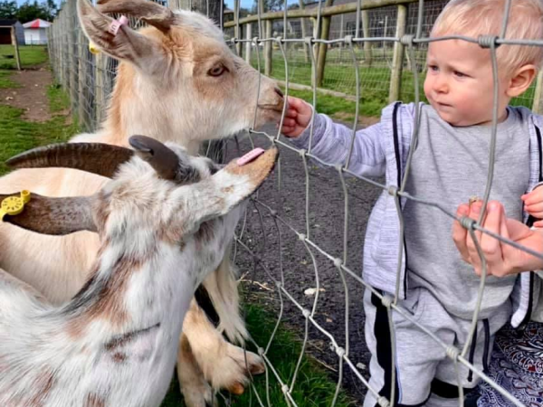 Weekday Term Time Saver Deal!