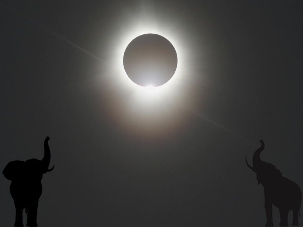 Eclipse 26: Sun, Moon and Paws