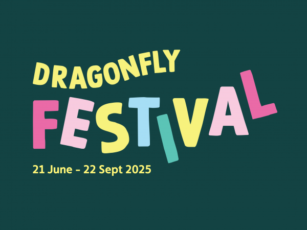 Dragonfly Basics With Dr Deborah Sazer