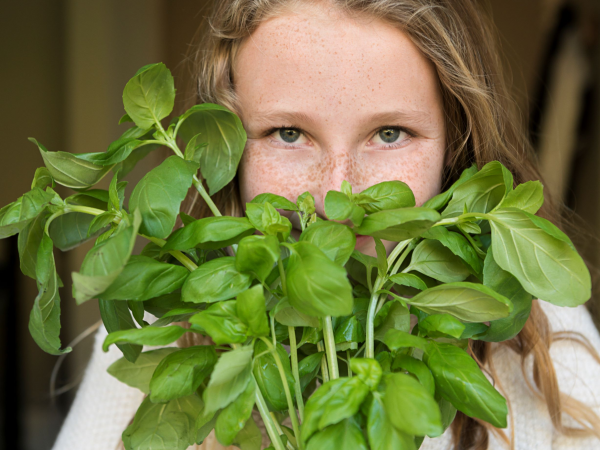 Little Acorns- Getting to know Herbs at Woburn Sands