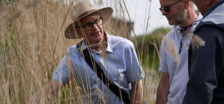 Volunteer tour guide wearing a sun hat, showing two visitors the reed beds up close.