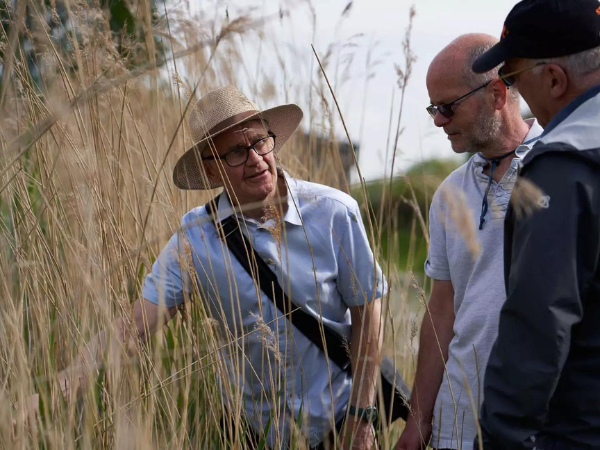 Volunteer tour guide wearing a sun hat, showing two visitors the reed beds up close.