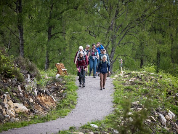 Rewilding Walk