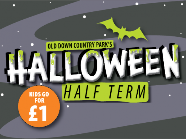 Halloween Half Term (£1 Offer)