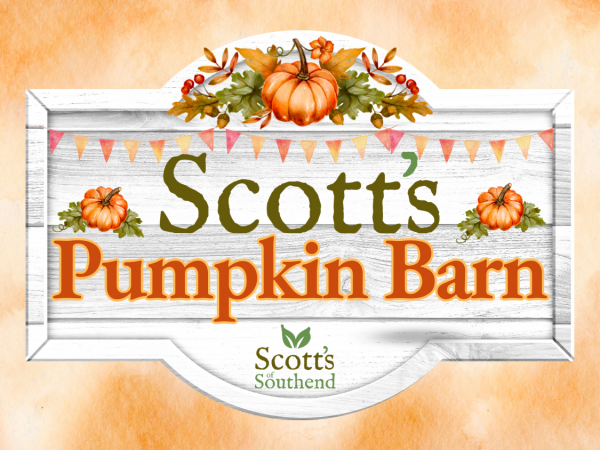 Scott's Pumpkin Barn