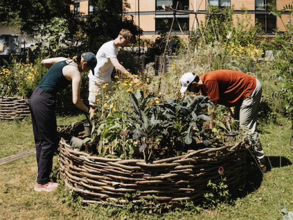 Spring Plant Fair 2026 | Safeguarding plant diversity for the future?
