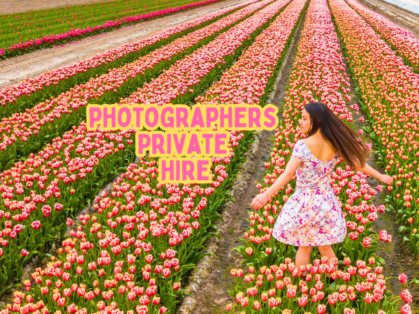 Tulip Field Photographer's Private Hire