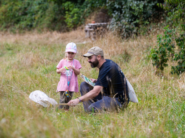 Summer Nature Activity for Children: Bug Hunting