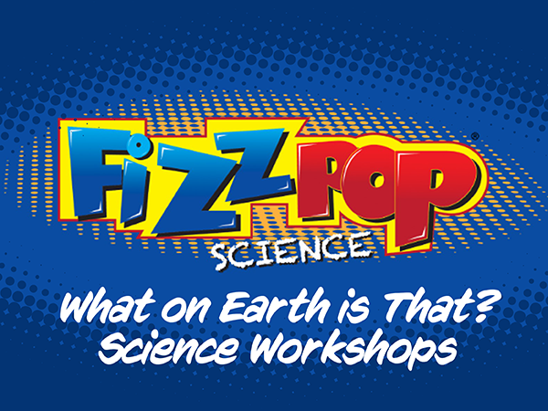 Staplehurst Chemistry Workshop
