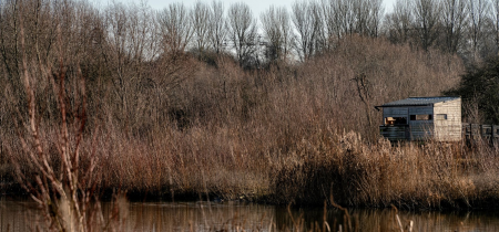 Wetland Wander for World Wetlands Day