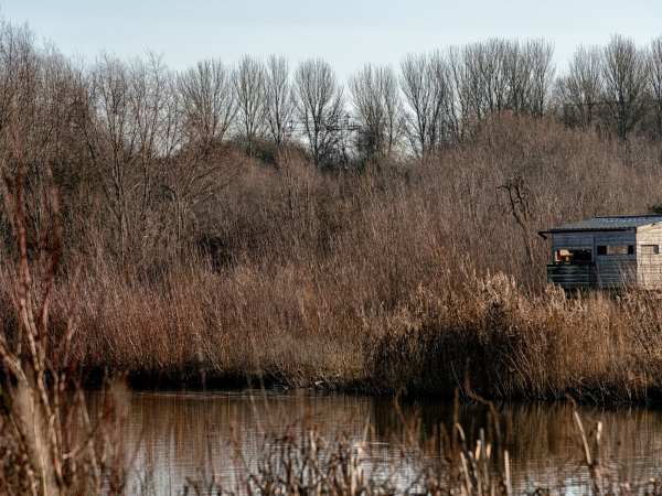 Wetland Wander for World Wetlands Day