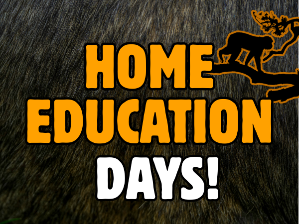Home Education Days