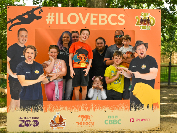 Big Cat Fest - Wednesday 5th August