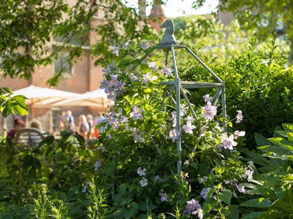 Open Garden Evenings