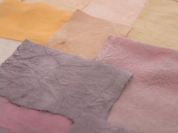 Branch Out | Exploring Natural Dye Plants with The Gardening Drawing Club