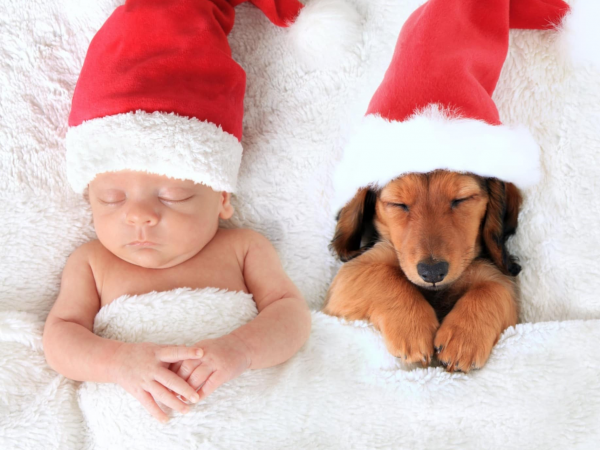 Santa Baby & Toddler AND Santa Paws