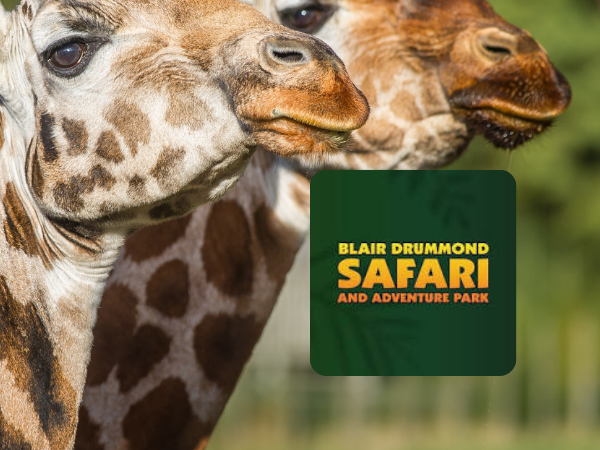 BIAZA/ICCCG Giraffe Behaviour & Hoof Care Workshop 2027
