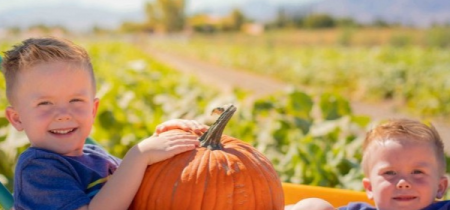 Pick Your Own Pumpkins