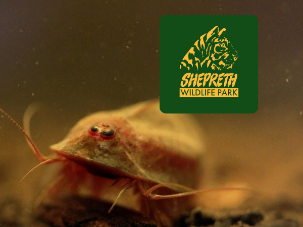 Terrestrial Invertebrate Working Group - Regional Workshop (South-East)