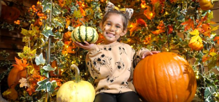 Pumpkin Festival (19th-20th and 25th - 31st October 2024)