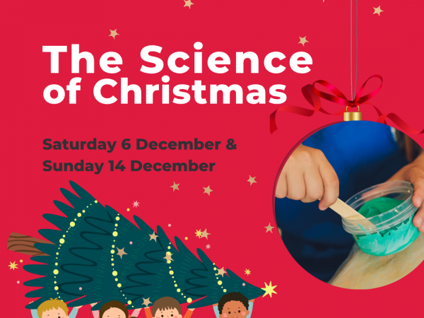 The Science of Christmas