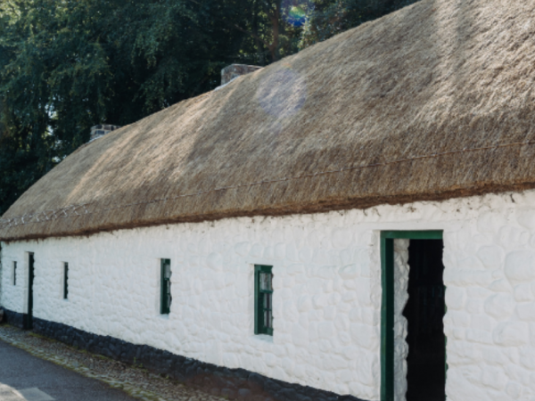 Homes in Focus - Ballyvollen