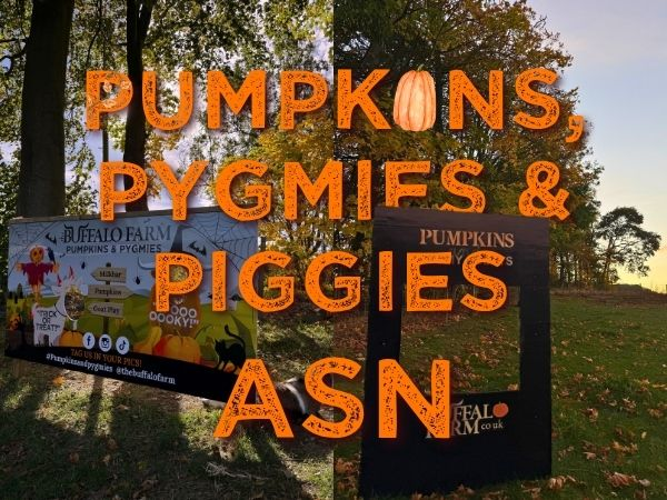 Pumpkins, Pygmies & Piggies - ASN