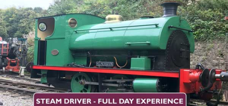 Steam Driver Experience Day