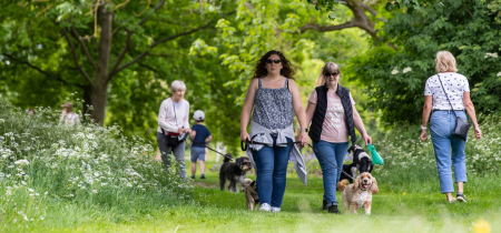 Woof Walk: Stonepit Field