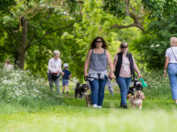Woof Walk: Stonepit Field