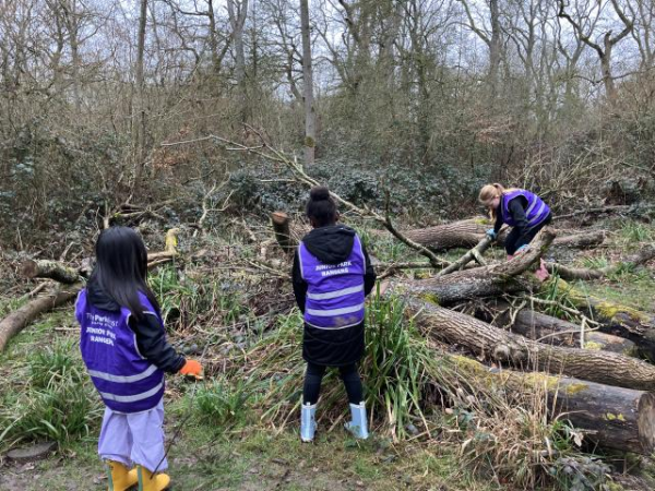 Junior Park Rangers Workshop November 2026 - Wetland Wonders