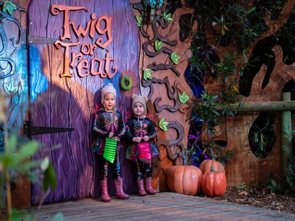 Twig or Treat Trail