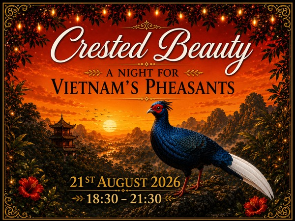 Crested Beauty - A night for Vietnam's Pheasant